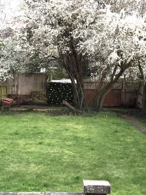 Garden- click for photo gallery